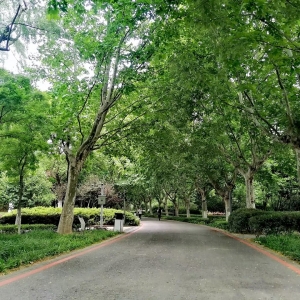 �S�ģ����Tһ�˿՚�����