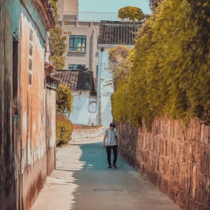 ���D��������ʧ�ı�����Ͻ�