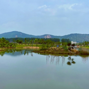 �W���S�ģ���ͤ�Ĺ��@