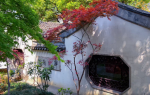 ٝ�@����һ���C��ɽ �XһƬ���ϴ�