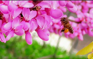 ��򹫈@���������G ��ɫ�N����tϼ