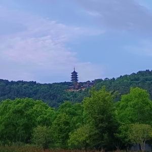 �W(w��ng)�ѷ�������ɽ����