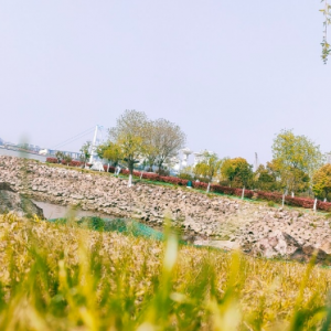 �S�ģ������L(f��ng)�� �Լ��_�ľͺ�