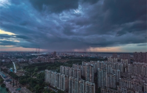 �S�Ľ�� ���΢������