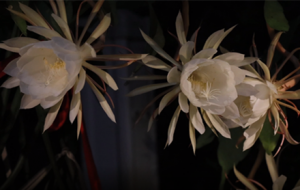 �ӕr�Ĕz ӛ䛕һ��`���^��