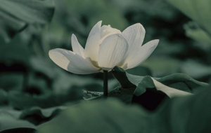 ���L����� ��ꎺɻ�����`��