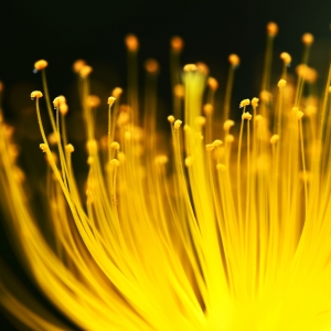 �W�ѷ�����������ľ`��