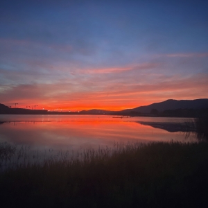 ҕ�Xʢ�� ϼ��M��