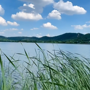 �֙C�zӰ����ɽ�Gˮ�{�����