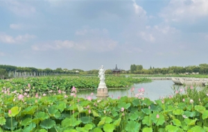 ˮ��p�����B(t��i)�@ �ɻ�ʢ�_