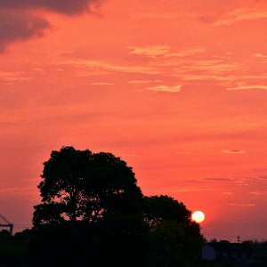 ���]�����L�E���Č��o