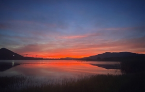 �S���ģ������������