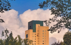 ε�{ɫ������������������