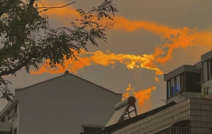 ��;�S���L�� �S�r�l�F��