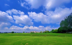 �����ճ����I(m��i)��혱����p·߅�L(f��ng)��