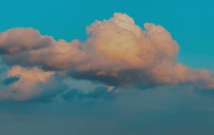 �W(w��ng)���S�ģ������M���۵�