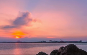 �Z���������Ĕz ��t�Ʋʄ�(d��ng)������