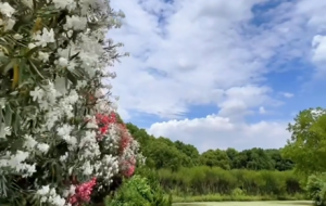 ҕ�l�Ĕz���l�º�߅����ͣͣ ɢɢ��