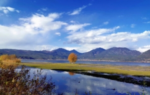 ��������2���� �L���箋