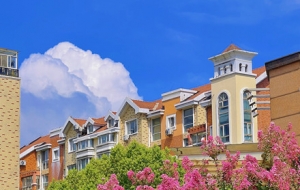 APP���x�D���������� ���g�����