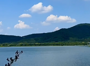 ����Ȧ��ƽ������ �q��ɽ��