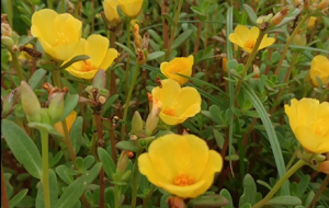 �W���Ĕz�����G̫ꖻ� �M�M��ů