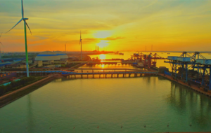 ������M������Ұ ���g����ɽ������