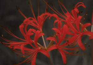 �˰��������_(k��i)��Ҋ(ji��n)�~