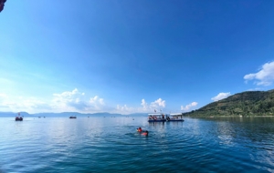 �ν����ɺ� ������ԓ��Ӿ