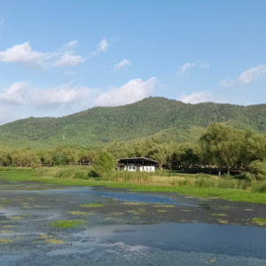 ���T(m��n)ɢ�� ���{(l��n)������c�ݵ�