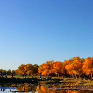 ���ģ��~��(j��)�{��ĺ�����