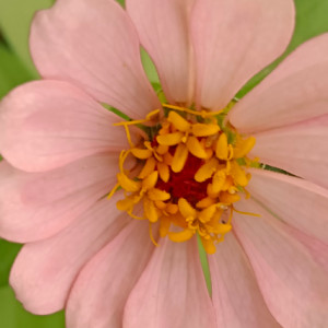 ���]������̎̎������