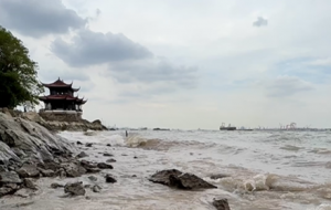 �L�L�L���|��ˮ �˻��ԱMӢ��