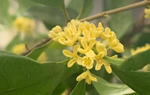 �S��ӛ䛣������ɫ���˶��