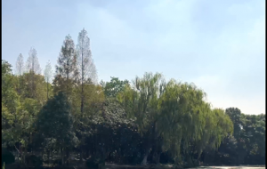 �������L �w����~��Ȥ