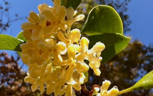 �׶������ ���ǹ���