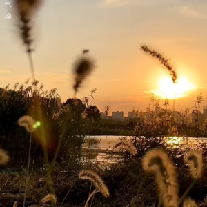 Ը������ů�� ����ů��