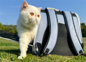 ����̤�ࣺһ���˵Ŀ옷