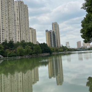 ����D�Q ע���·������p