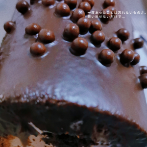 ��������ʳ�������˿옷