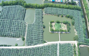 ʡ���J�C�����+2