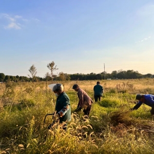 �زݳ���������@���_չ���(xi��ng)�����Є�