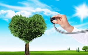 ��ꎸ�У�W(xu��)����ҕ�ʡ��w�|(zh��)������r������