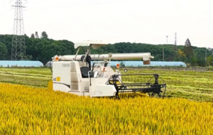 ���o���{񂡱�_�M(j��n)���