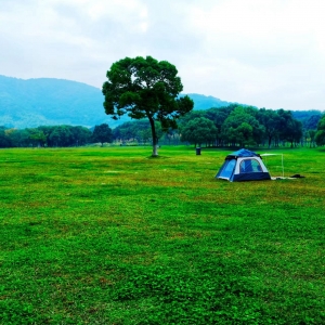 ��ɽ���S�ģ����սY(ji��)�����