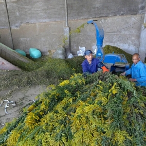 һ���7������һ֦�S�������ό�����