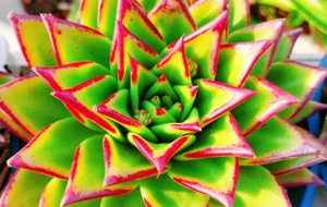 �Ͷ�������ꖹ� ���(ji��n)�ζ�����