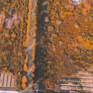 ���Ľ�ꎣ���ɫ�箋��