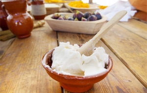 ��Ԓ�}����άF�ڳ��i�͵��������أ�