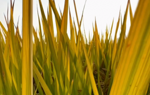 ������@���� ���M����